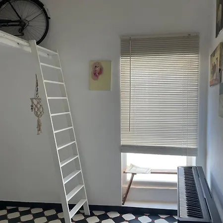 Otto's House * בארי