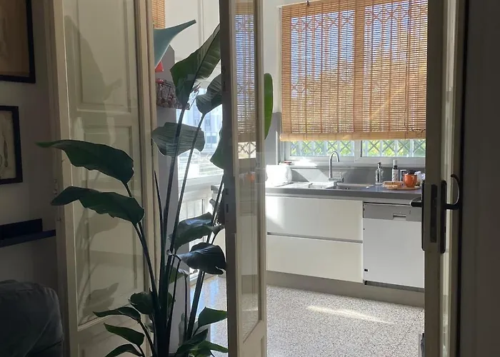 Otto's House בארי